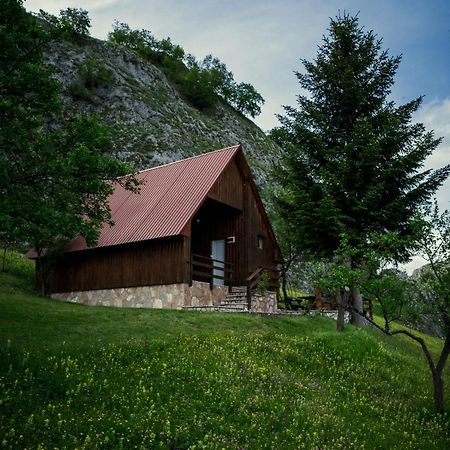 Detached House Milivoje Hotell Poscenje Eksteriør bilde
