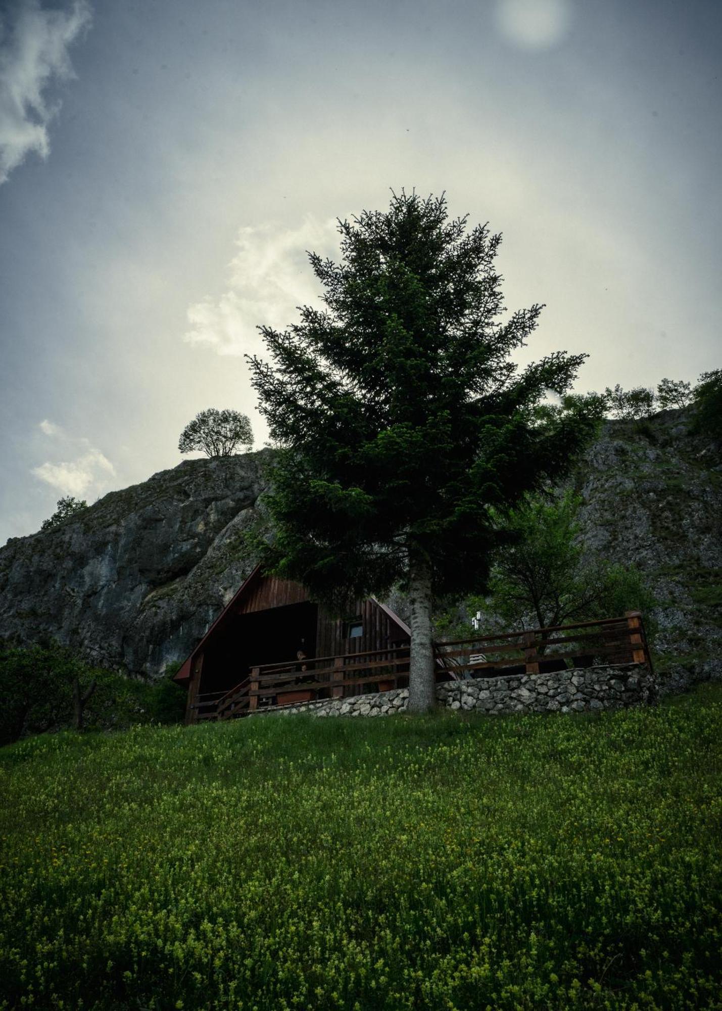 Detached House Milivoje Hotell Poscenje Eksteriør bilde