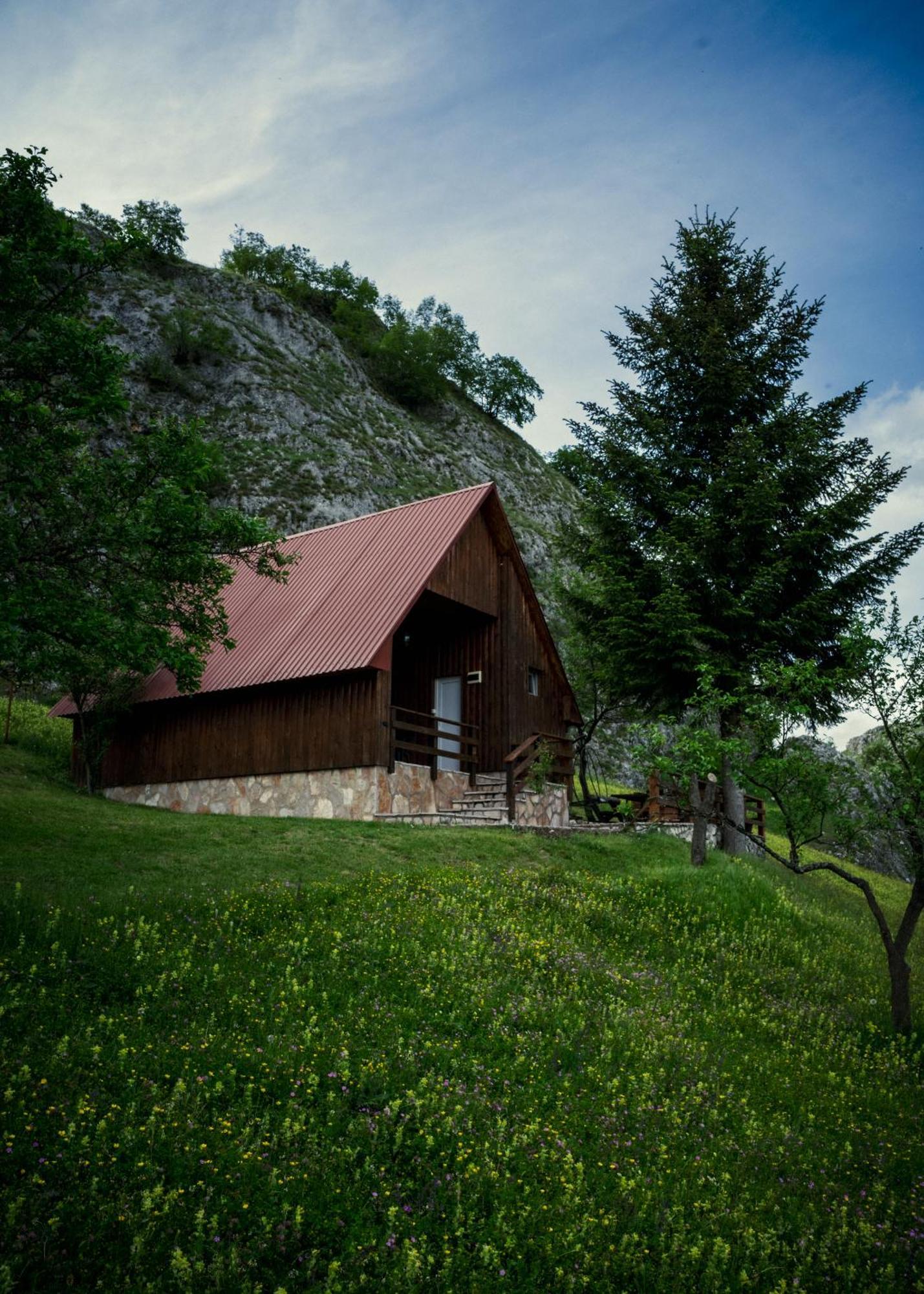 Detached House Milivoje Hotell Poscenje Eksteriør bilde